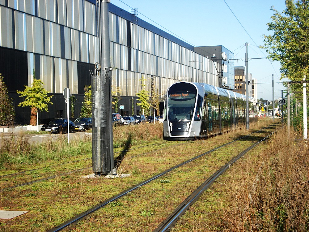 tram in Luxemburg